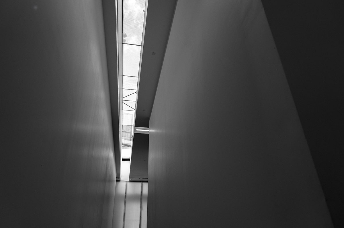 一日三餐，从健康到品质的味蕾之旅